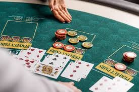 donaldbet